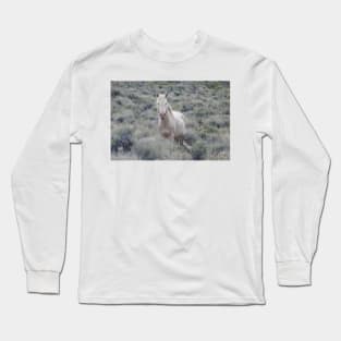 Wild Horse, stallion, wildlife, nature, gifts Long Sleeve T-Shirt